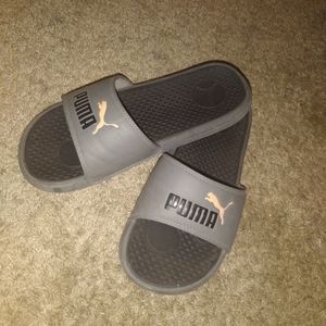 Puma slides